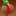 spicybigbutt.com